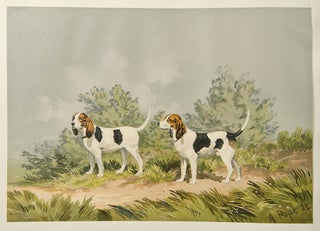 Celebrated Dogs of America