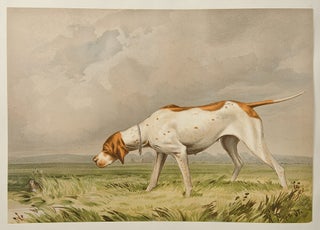Celebrated Dogs of America