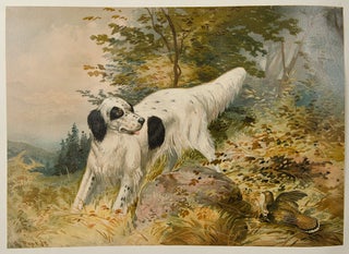 Celebrated Dogs of America