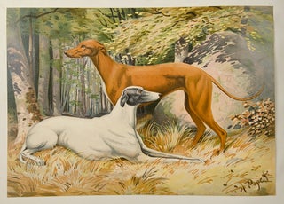 Celebrated Dogs of America