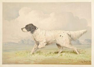 Celebrated Dogs of America