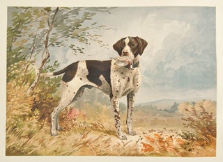 Celebrated Dogs of America