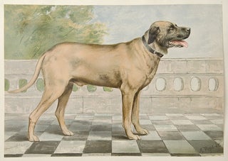 Celebrated Dogs of America