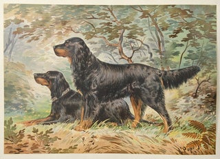 Celebrated Dogs of America