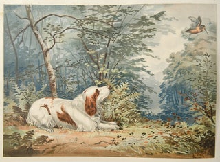 Celebrated Dogs of America