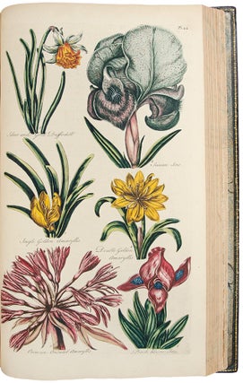 Eden: or, a Compleat body of Gardening, containing plain and familiar directions for raising the several useful products of a garden ... compiled and digested from the papers of the late celebrated Mr. Hale, by the authors of the compleat body of husbandry. And comprehending the art of constructing a garden for use and pleasure; the best methods of keeping it in order: and the most perfect accounts of its several products