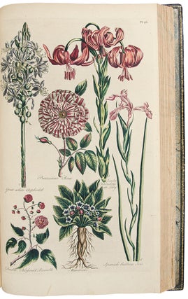 Eden: or, a Compleat body of Gardening, containing plain and familiar directions for raising the several useful products of a garden ... compiled and digested from the papers of the late celebrated Mr. Hale, by the authors of the compleat body of husbandry. And comprehending the art of constructing a garden for use and pleasure; the best methods of keeping it in order: and the most perfect accounts of its several products