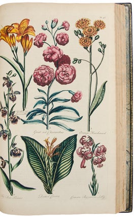 Eden: or, a Compleat body of Gardening, containing plain and familiar directions for raising the several useful products of a garden ... compiled and digested from the papers of the late celebrated Mr. Hale, by the authors of the compleat body of husbandry. And comprehending the art of constructing a garden for use and pleasure; the best methods of keeping it in order: and the most perfect accounts of its several products