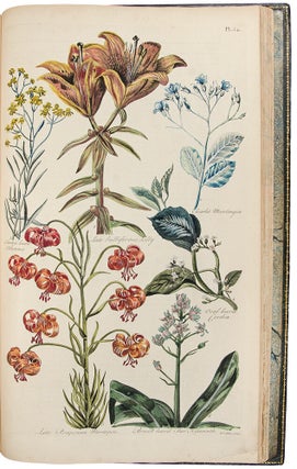 Eden: or, a Compleat body of Gardening, containing plain and familiar directions for raising the several useful products of a garden ... compiled and digested from the papers of the late celebrated Mr. Hale, by the authors of the compleat body of husbandry. And comprehending the art of constructing a garden for use and pleasure; the best methods of keeping it in order: and the most perfect accounts of its several products