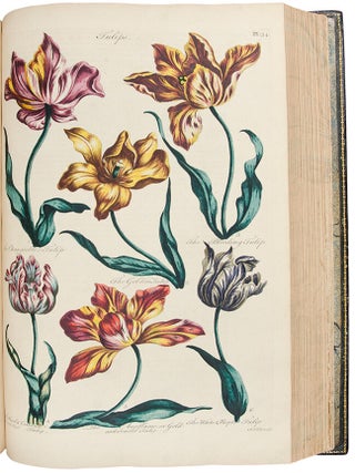 Item #29375 Eden: or, a Compleat body of Gardening, containing plain and familiar directions for...