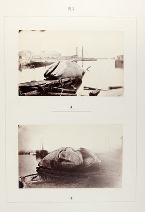 Item #29540 Monographie Illustrée du Baleinoptère trouvé le 29 Octobre 1865 sur la Côte...