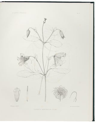 Les Clématites a Grande Fleurs ... Description et Iconagraphie des Espèces Cultivées dans l'Arboretum de Segrez