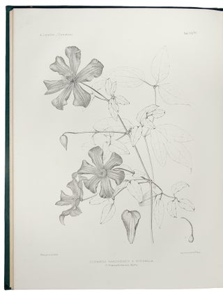 Les Clématites a Grande Fleurs ... Description et Iconagraphie des Espèces Cultivées dans l'Arboretum de Segrez