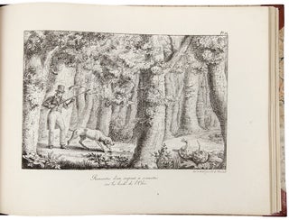 Recueil des Cartes et des Vues du Voyage en Amerique en Italie en Sicile et en Egypte fait pendant les annees 1816, 1817, 1818 et 1819