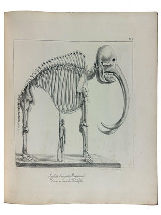 Recueil des Cartes et des Vues du Voyage en Amerique en Italie en Sicile et en Egypte fait pendant les annees 1816, 1817, 1818 et 1819