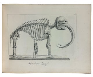 Recueil des Cartes et des Vues du Voyage en Amerique en Italie en Sicile et en Egypte fait pendant les annees 1816, 1817, 1818 et 1819