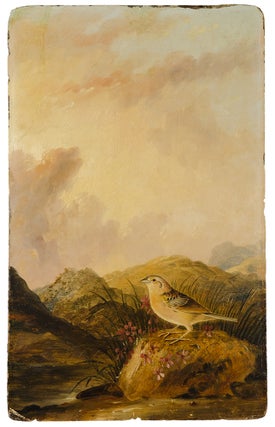 Item #30370 Yellow-winged Sparrow. John James AUDUBON, Joseph Bartholomew KIDD, Painter