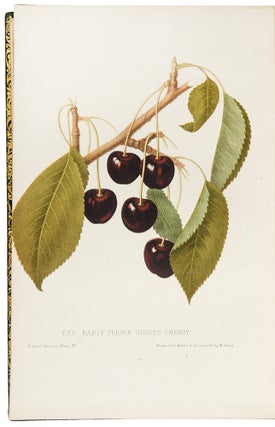 The Fruits of America, containing richly colored figures and full descriptions of all the choicest varieties cultivated in The United States