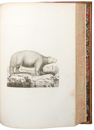 Item #30508 [Large paper proof impressions of the plates from his History of Quadrupeds]. Thomas...