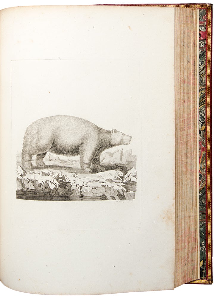 Item #30508 [Large paper proof impressions of the plates from his History of Quadrupeds]. Thomas PENNANT.