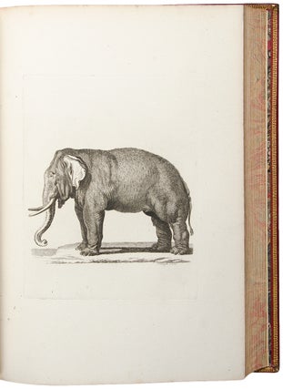 [Large paper proof impressions of the plates from his History of Quadrupeds]