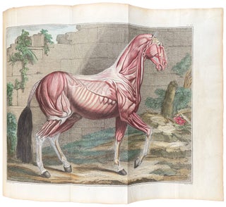 Cours d'hippiatrique, ou traité complet de la médecine des chevaux