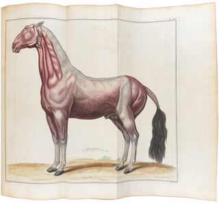 Cours d'hippiatrique, ou traité complet de la médecine des chevaux