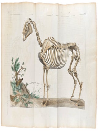 Item #30530 Cours d'hippiatrique, ou trait&eacute; complet de la m&eacute;decine des chevaux. Philippe...