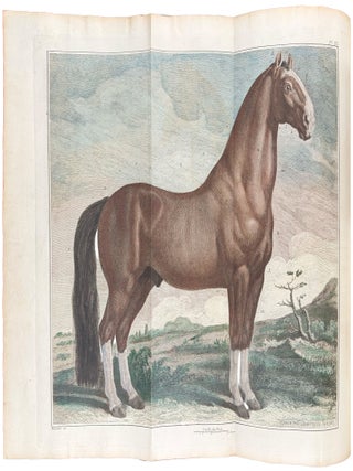 Cours d'hippiatrique, ou trait&eacute; complet de la m&eacute;decine des chevaux