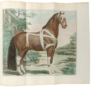 Item #30530 Cours d'hippiatrique, ou traité complet de la médecine des chevaux. Philippe...