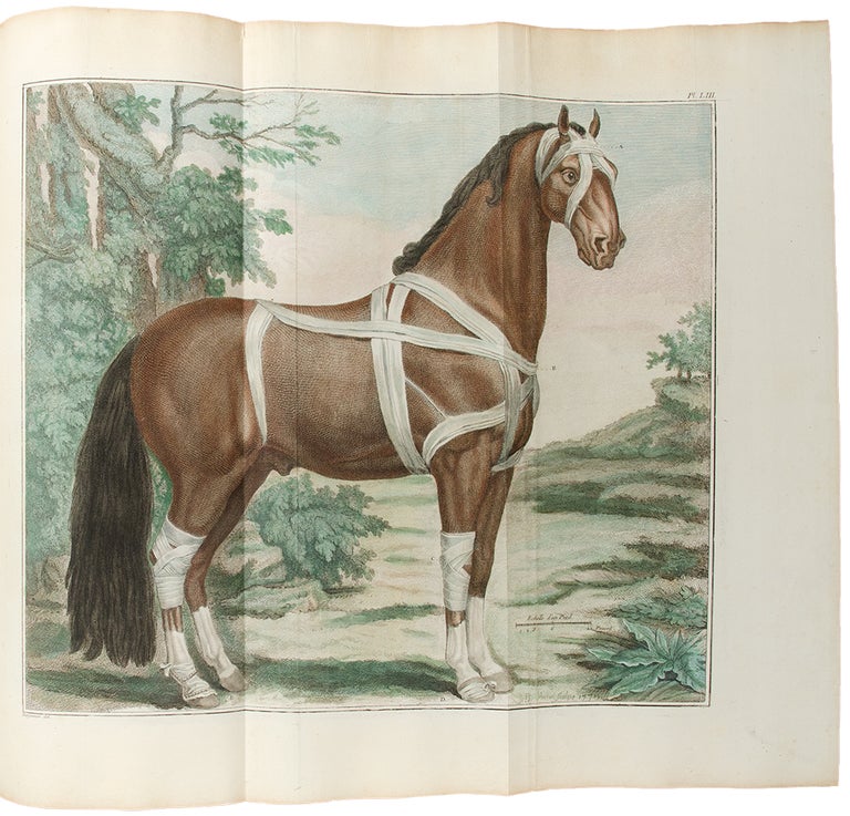 Item #30530 Cours d'hippiatrique, ou traité complet de la médecine des chevaux. Philippe Étienne LAFOSSE.