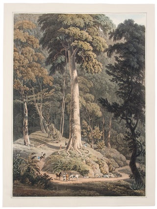 Item #31249 Panoramic Sketch of Prince of Wales Island. William DANIELL, Captain Robert, SMITH,...