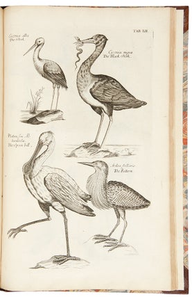 Item #32389 The Ornithology of Francis Willughby ... In three books. Wherein all the birds...