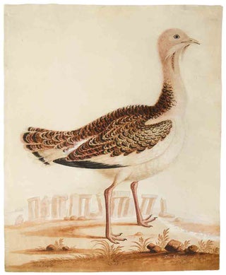 Item #33072 The Bustard Cock [and] The Hen Bustard ... [Pair of ornithological watercolours...