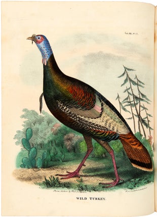 The Cabinet of Natural History, and American Rural Sports with Illustrations