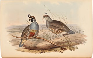 Item #33110 A Monograph of the Odontophorinae, or Partridges of America. John GOULD
