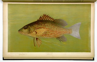 The Fishes of North America that are captured on Hook and Line. With eighty colored plates made from oil portraits of living fishes before their color tints had faded