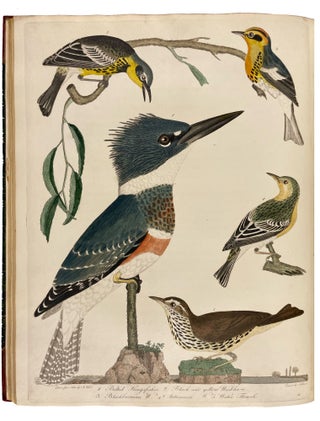 Item #33319 American Ornithology; or, the Natural History of the Birds of the United States:...