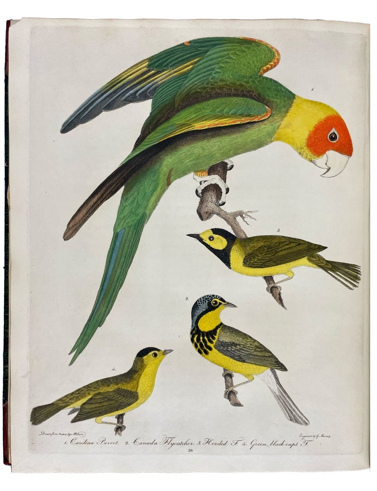 Item #33319 American Ornithology; or, the Natural History of the Birds of the United States: Illustrated with Plates Engraved and Colored from Original Drawings Taken from Nature. Volumes I-IX. fl., Engraver, Alexander WILSON, George ORD, Alexander LAWSON, John, WARNICKE, Benjamin, TANNER, George., MURRAY, Engraver d.1818.