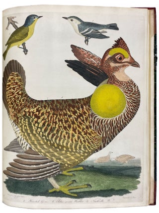 American Ornithology; or, the Natural History of the Birds of the United States: Illustrated with Plates Engraved and Colored from Original Drawings Taken from Nature. Volumes I-IX
