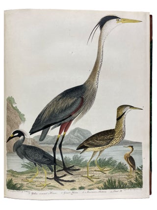 American Ornithology; or, the Natural History of the Birds of the United States: Illustrated with Plates Engraved and Colored from Original Drawings Taken from Nature. Volumes I-IX