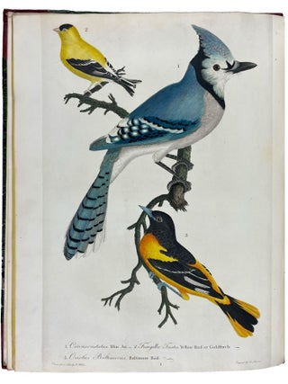 American Ornithology; or, the Natural History of the Birds of the United States: Illustrated with Plates Engraved and Colored from Original Drawings Taken from Nature. Volumes I-IX
