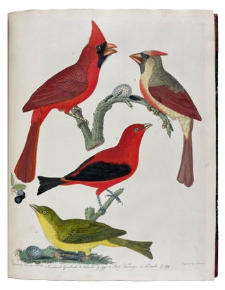 American Ornithology; or, the Natural History of the Birds of the United States: Illustrated with Plates Engraved and Colored from Original Drawings Taken from Nature. Volumes I-IX