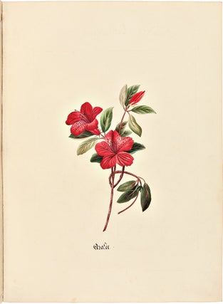 Histoire naturelle botanique [manuscript title]