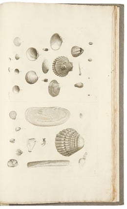 Item #33764 Catalogues of the birds, shells, and some of the more rare plants, of Dorsetshire....