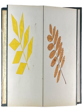 Froebel's Kindergarten "Gifts" Art Albums Collection, Including 28 Albums of Paper Beauty Forms, 1 Manuscript Lesson Book, 1 Milton Bradley Art Supply Catalog, 3 Books of Froebelian Educational Theory, and Froebel's Autobiography