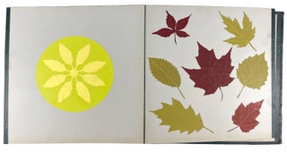 Froebel's Kindergarten "Gifts" Art Albums Collection, Including 28 Albums of Paper Beauty Forms, 1 Manuscript Lesson Book, 1 Milton Bradley Art Supply Catalog, 3 Books of Froebelian Educational Theory, and Froebel's Autobiography