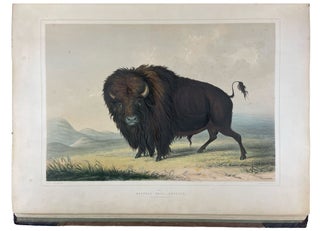 Catlin's North American Indian Portfolio. Hunting Scenes and Amusements of the Rocky Mountains and Prairies of America