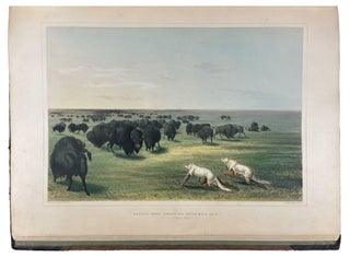 Catlin's North American Indian Portfolio. Hunting Scenes and Amusements of the Rocky Mountains and Prairies of America