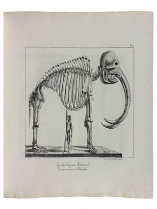 Voyage en Amerique, en Italie, en Sicile et en Egypte, pendant les annees 1816, 1817, 1818, et 1819. [With:] Recueil des Cartes et des Vues du Voyage en Amerique en Italie en Sicile et en Egypte fait pendant les annees 1816, 1817, 1818 et 1819